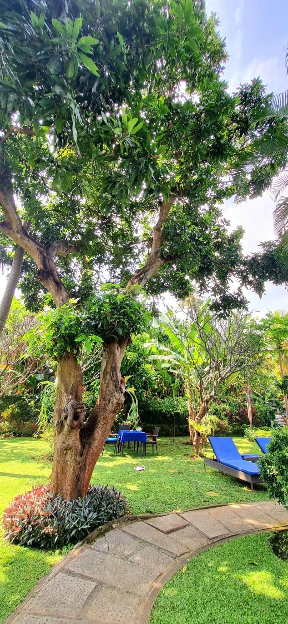 Balinda Rooms & Villa Lovina  Ruang foto